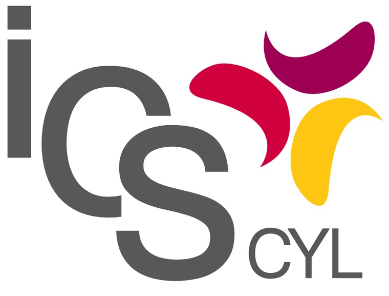Fundación Instituto de Estudios de Ciencias de la Salud de Castilla y León