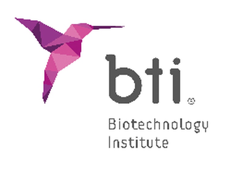 COMERCIAL BTI S.L