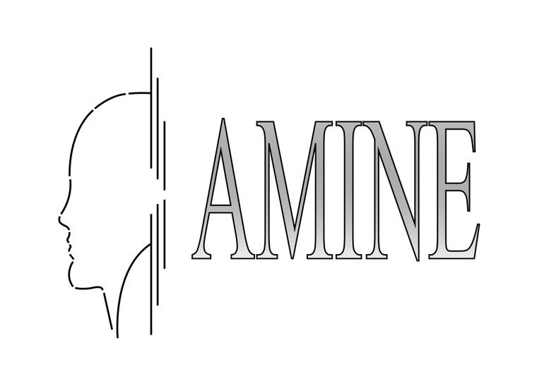 ASOCIACION DE MONITORIZACION INTRAQUIRURGICA NEUROFISIOLOGICA ESPAÑOLA (AMINE)