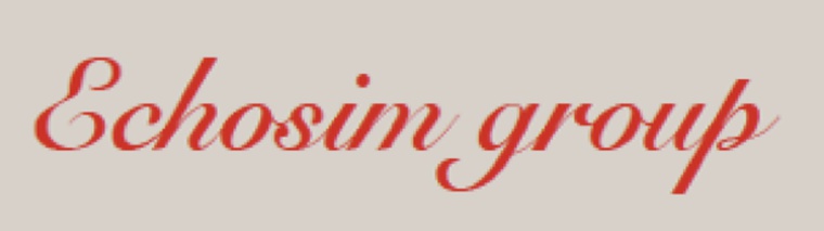ECHOSIMGROUP SL