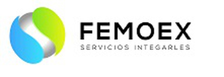 FEMOEX SERVIICOS INTEGRALES S.L