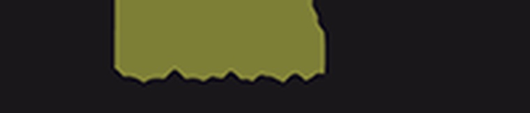 bocemtium consulting SL