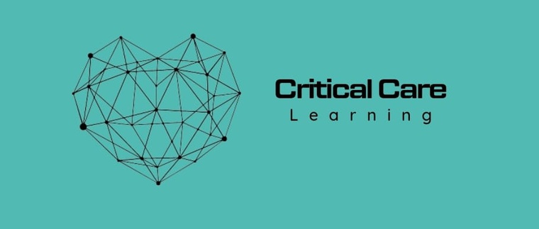 CRITICAL CARE LEARNING