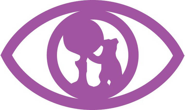 Sociedad Oftalmologica de Madrid