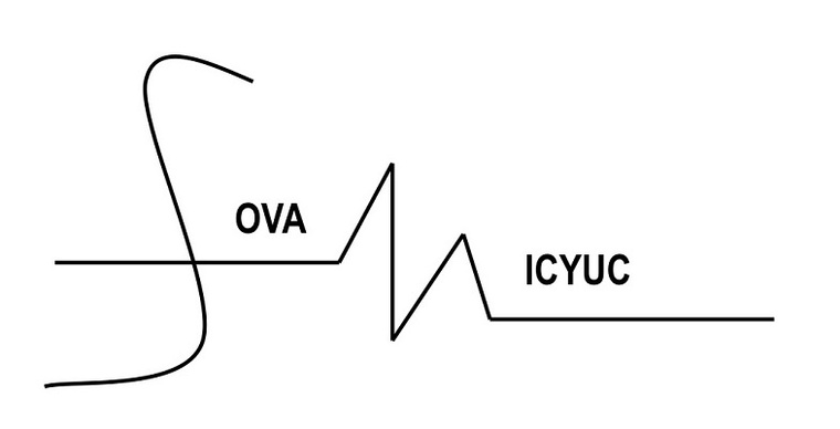 SOVAMICYUC SOCIEDAD