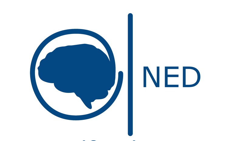 FUNDACIÓN NEUROCIRUGÍA EDUCACIÓN Y DESARROLLO DE LA COMUNIDAD VALENCIANA (NED)
