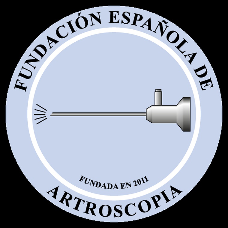 FUNDACION ESPAÑOLA DE ARTROSCOPIA