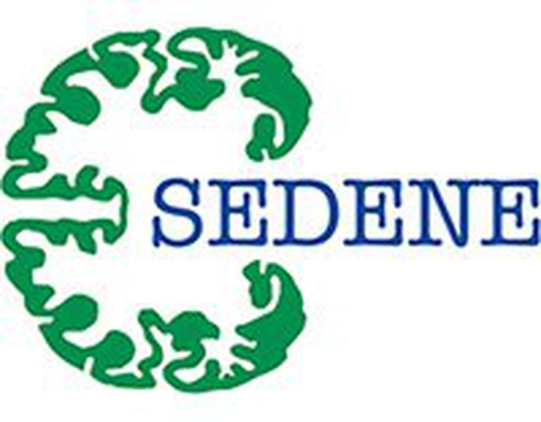 SOCIEDAD ESPAÑOLA DE ENFERMERÍA NEUROLÓGICA - SEDENE